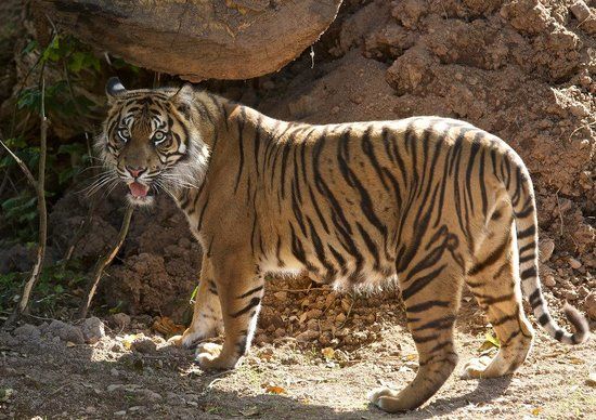 Reserva Natural de Fota